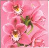 Dekorszalvéta - Pink Orchid